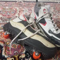 کفش چرخدار