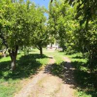 ویلا اجاره ای گلدشت(فقط خانواده)