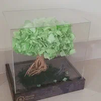 گل و گلدان