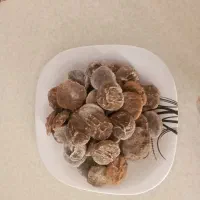 شیراز پوستی غوروت چدنی تضمینی