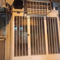 مغازه