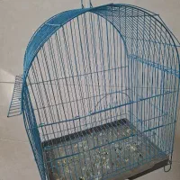 قفس پرنده