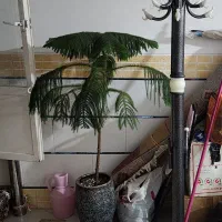 چوب لباسی آهنی سنگی ایستاده