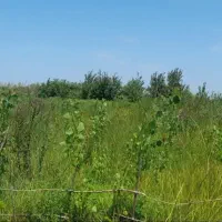 250-متر-زمین-مسکونی-دارای-تمام-امکانات