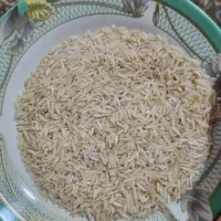 برنج شمیم درجه یک