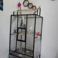قفس بزرگ انواع پرندگان