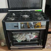 فرگاز