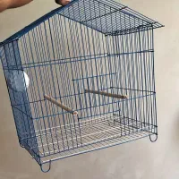 قفس عروس هلندی