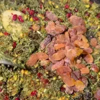 راهنمایی فروش غذا خونگی