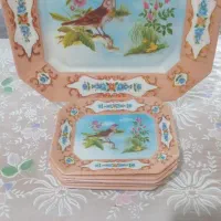 خیاری خوری ملامین