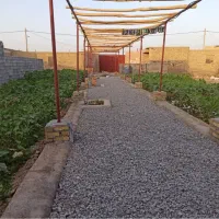 فروش باغ دامداری