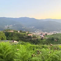 زمین ۱۸۰ متر مسکونی فروش نقد و‌اقساط