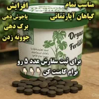 سبو سیب