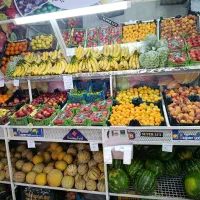 مغازه میوه و تربار