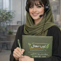 جشنواره فروش صنوبر بقیمت ۸ هزارتومن در غرب نهال