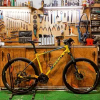 دوچرخه جاینت اسکات