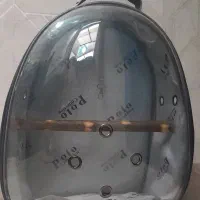 کیف حمل پرندگان