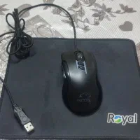 موس و فن