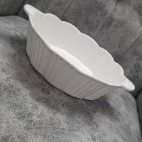 ظرف پذیرایی نو