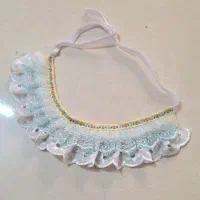 اکسسوری پت