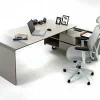 فروشنده خانم و حسابدار