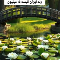 0913.951.4654|سیمکارت|یزد, |دیوار