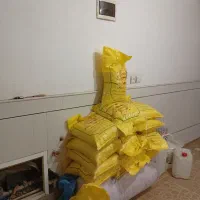 برنج عنبربو کامل ونیم ومحلی دزفول