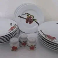ظرف چینی ۱۹ تیکه