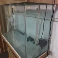 آکواریوم شیشه خم