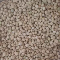 نخود با ارسال رایگان