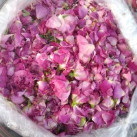 گل محمدی  مراغه تازه