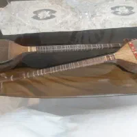 ساز شور انگیز یا سه تار پوستی