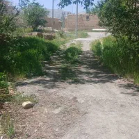 زمین