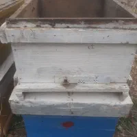 قوطی زنبور.  تمییز  و کاملا قابل استفاده