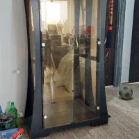 بوفه وویترین