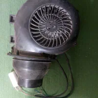 حلزونی ماینر