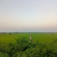 ۱۲۰۰ متر زمین مسکونی با بنا و سند دار