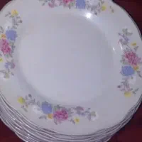 انواع چینی کل سرخی قدیمی