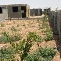 فروش-باغ