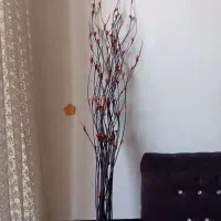 گل شاخه گوزنی بلند