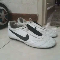 کفش تکواندو سایز 39/40 برند nike (تخفیف داره)