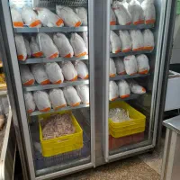 یخجال ویترینی فروشی
