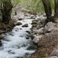 تور مال آقا