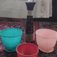 گلدان|گل و گیاه طبیعی|مشهد, سناباد|دیوار