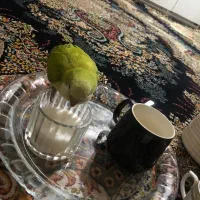 طوطی گمشده محدوده خیابان سربندر شهرک طالقانی
