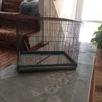 قفس محکم