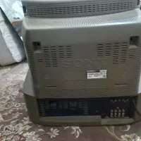 تلویزیون