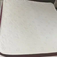 تشت طبی