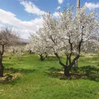 بهشت باغ شوراب صغیر