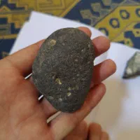 شهاب سنگ ماهی